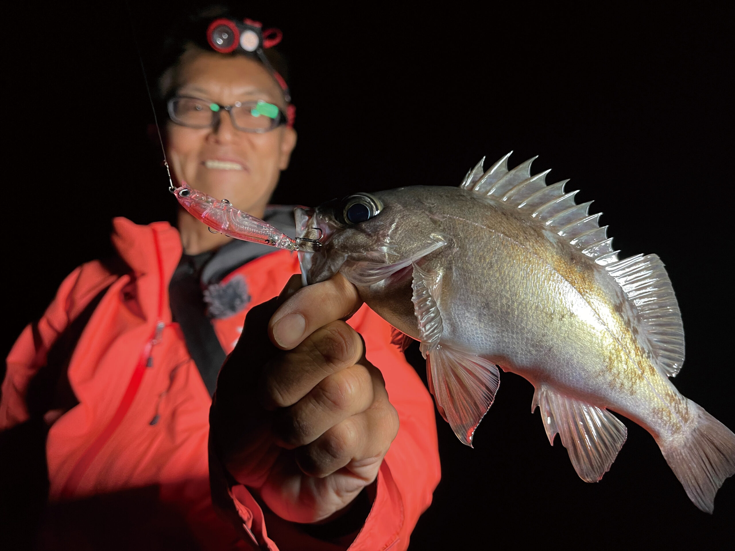 16c672ddad4908c420971c85067668