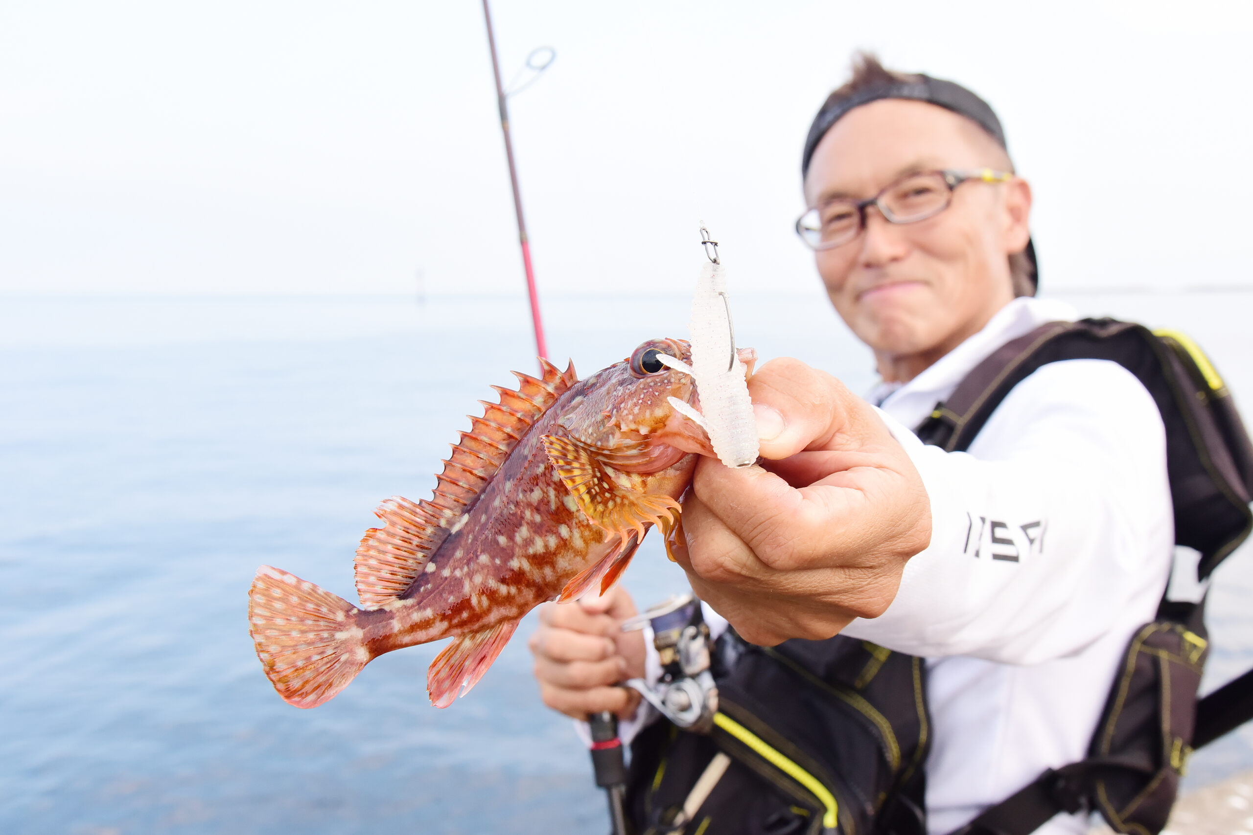 新しい力を得て、いざ復活の『根魚蟲』（ねうおむし） | ISSEI