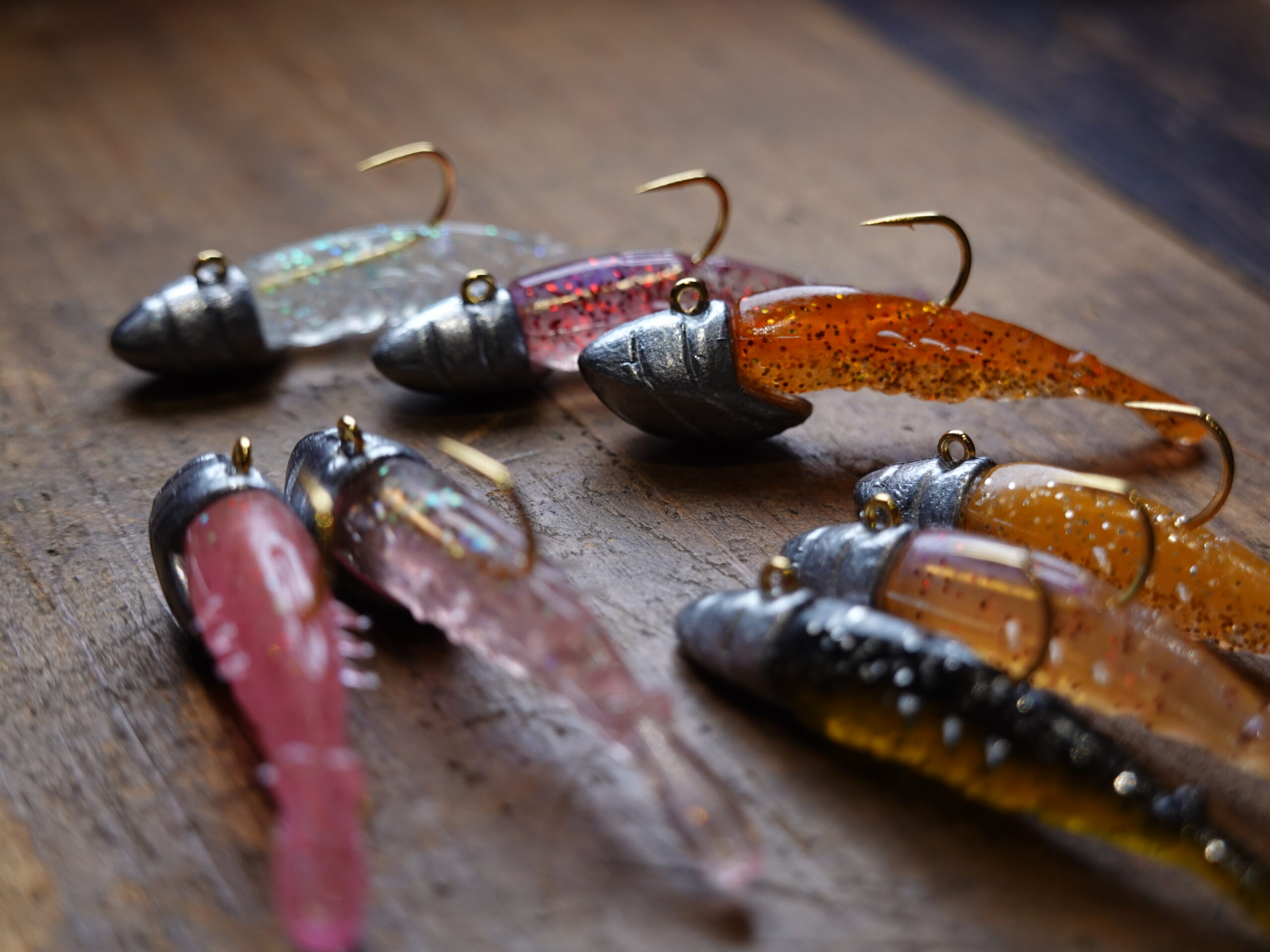 エビスダイ　本物剥製　学名:ソルジャーフィッシュ エビスダイの剥製 エビスダイ本物剥製学名:ソルジャーフィッシュ