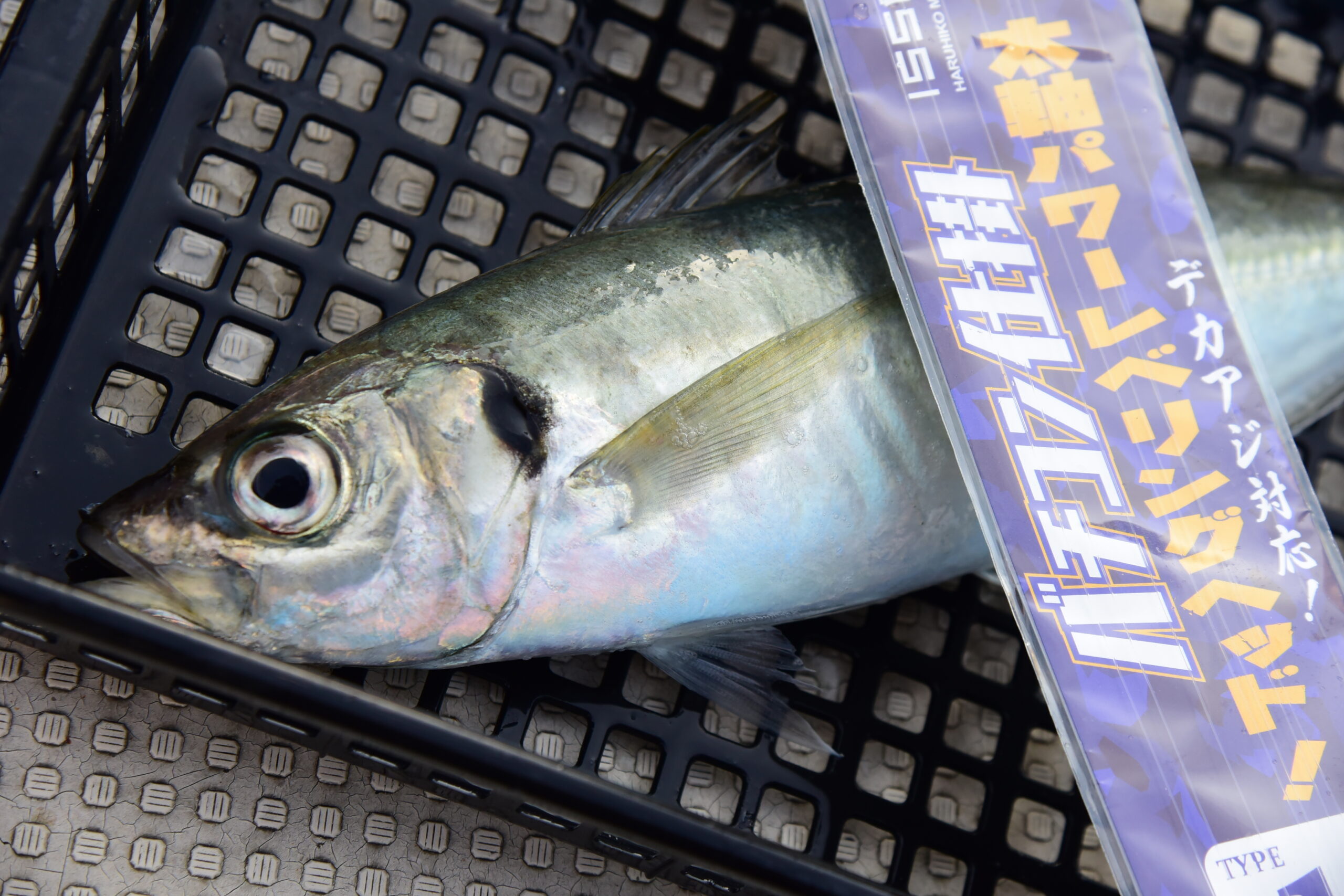 専用❗️新品❗️イッセイ　海太郎　バチコン仕掛け　7個 Amazon | イッセイ海太郎(Issei Umitaro) 海太郎 海太郎特製