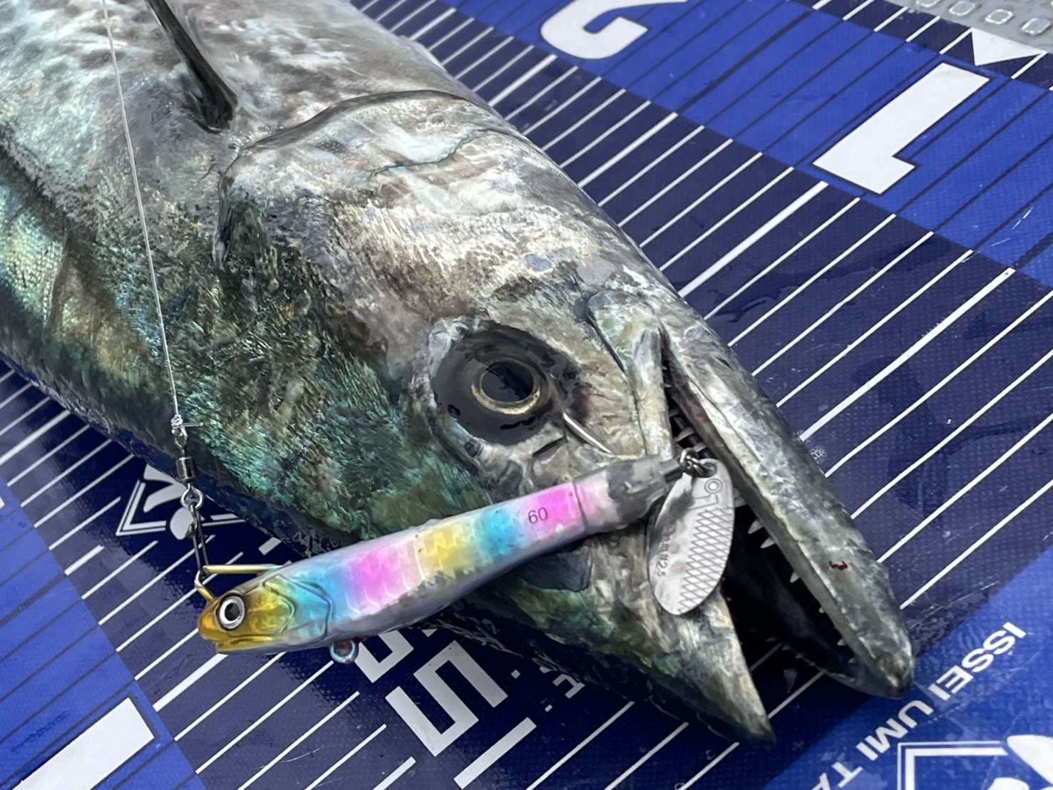 サカナ release！『サカナサカナスピンH.S.T』〜ブレード嫌いの村上晴彦が本気